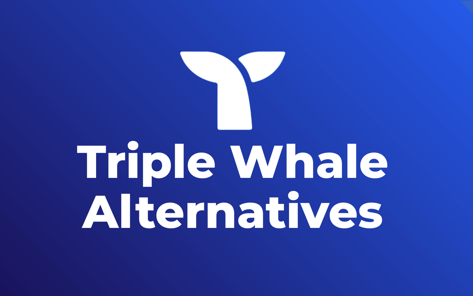 Triple Whale Alternatives
