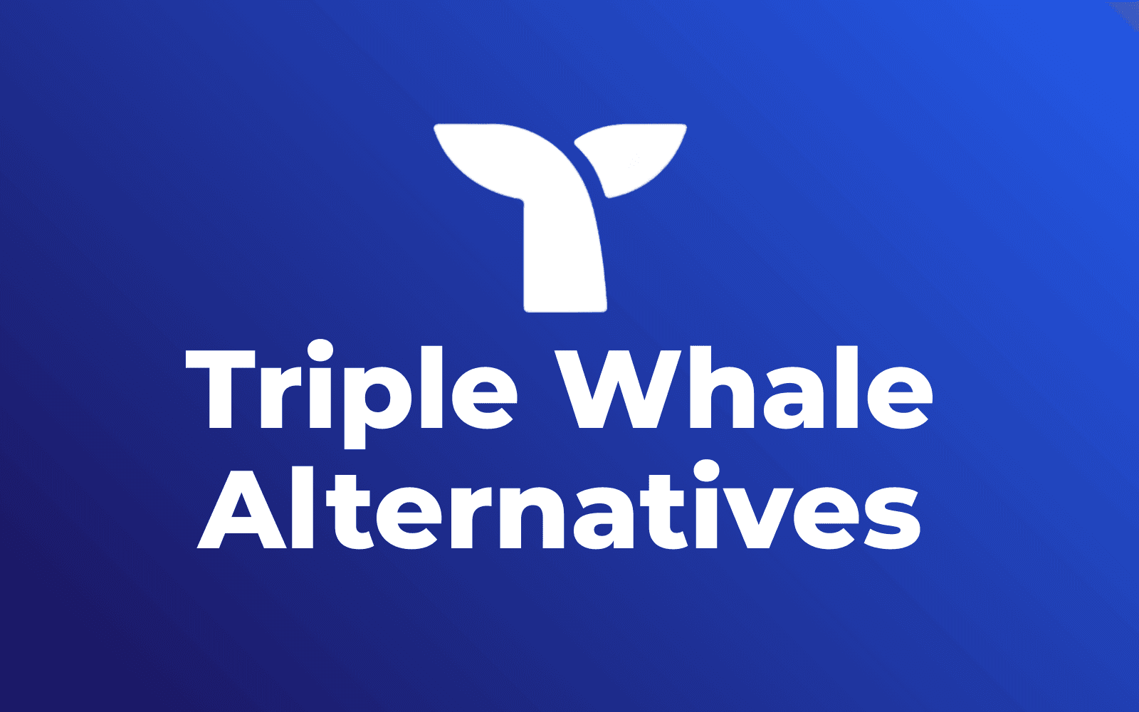 6 Triple Whale Alternatives That Save 60% on Costs (2026)