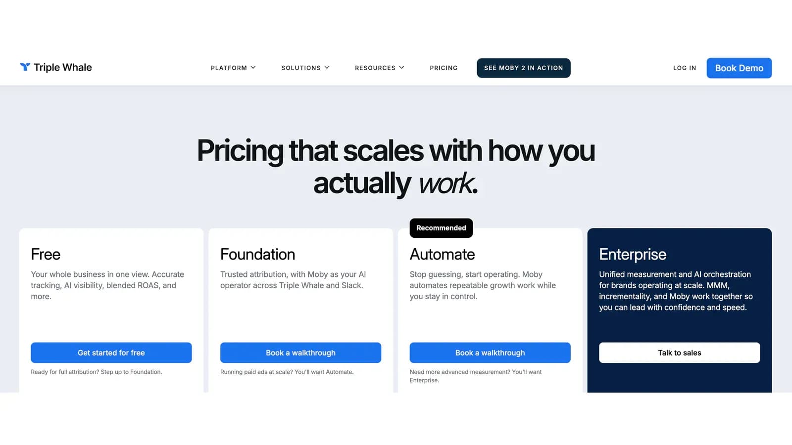 Triple Whale pricing page showing Free, Foundation, Automate, and Enterprise plans without visible prices